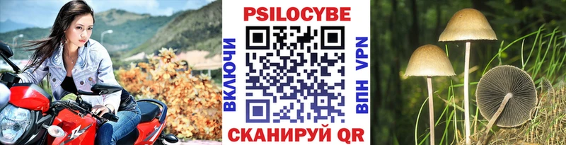 Купить  Луга  Псилоцибиновые грибы ЛСД 